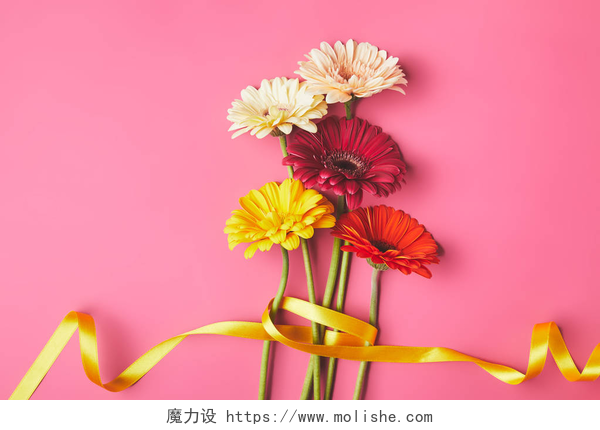 粉色背景上的非洲菊带黄丝带的非洲菊花花束, 母亲节概念